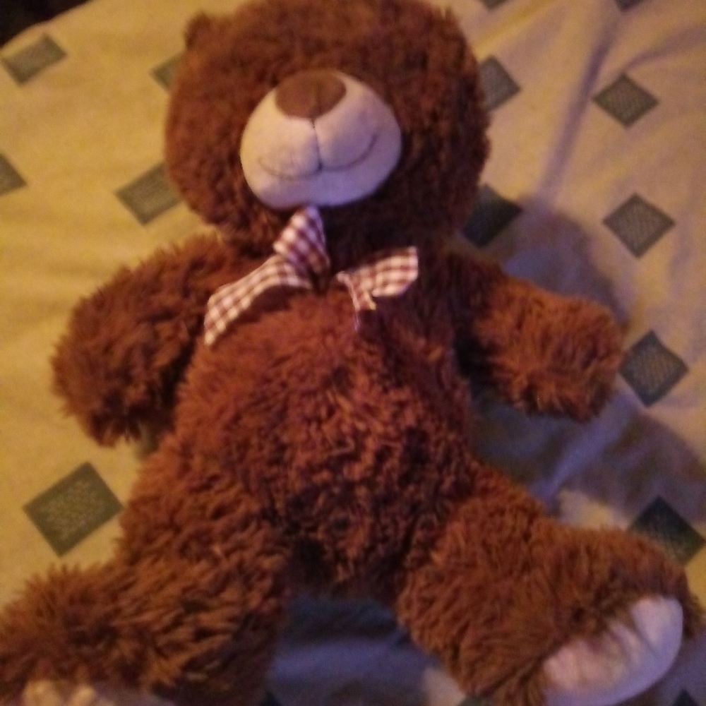 Soft Dark Brown Teddy Bear
